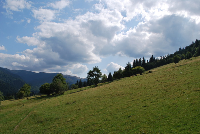 Mm 706; la Borsa cu telescaunul
