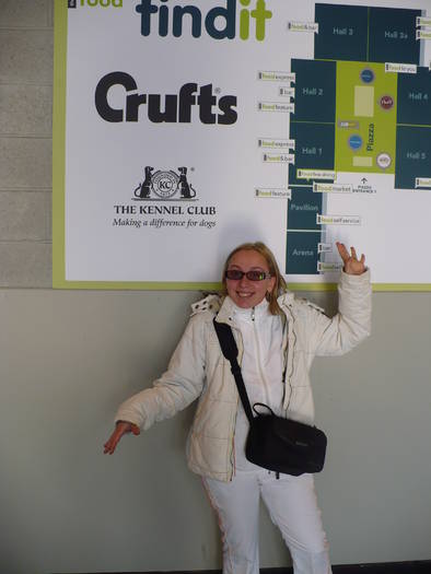 P1050537 - crufts 2009 smooth fox  and wire