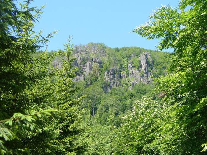 P1000576 - varful Ignis Maramures