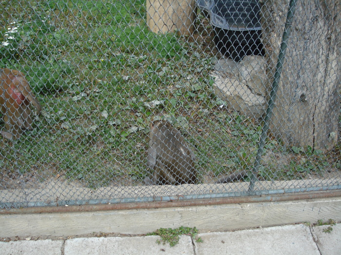 Picture 019