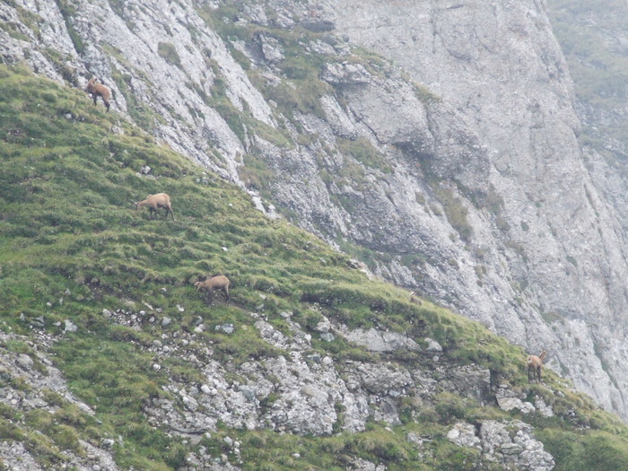 2009_08190518; Romania
