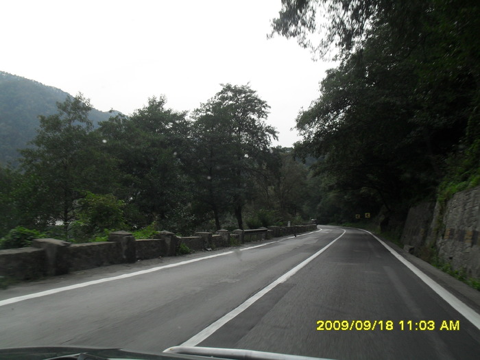 SDC10282