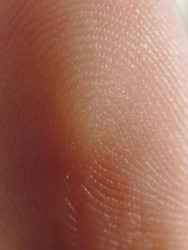 Fingerprint