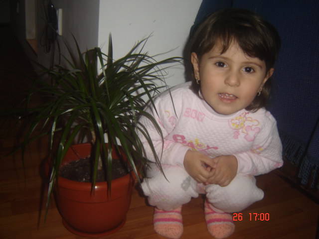 DSC00147 - florile mele