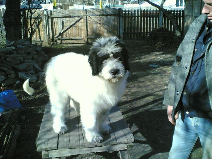 22012007(008); BUCURA
