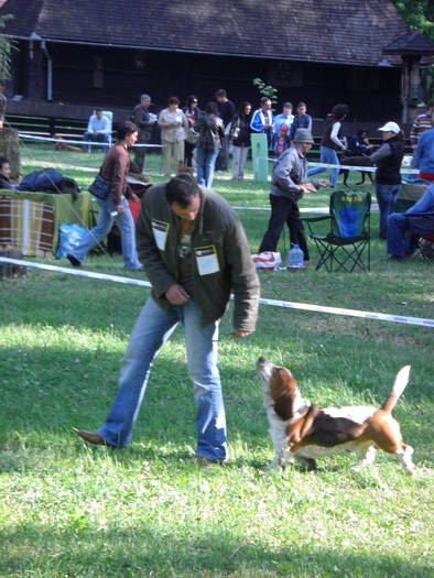 concurs canin timisoara 068 - 2XCACIB TIMISOARA 02-03 MAI 2009