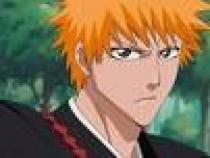 bleach - animax