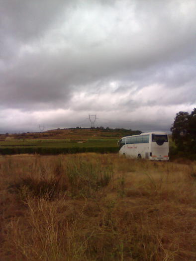 Imagine1390 - ApiMondia