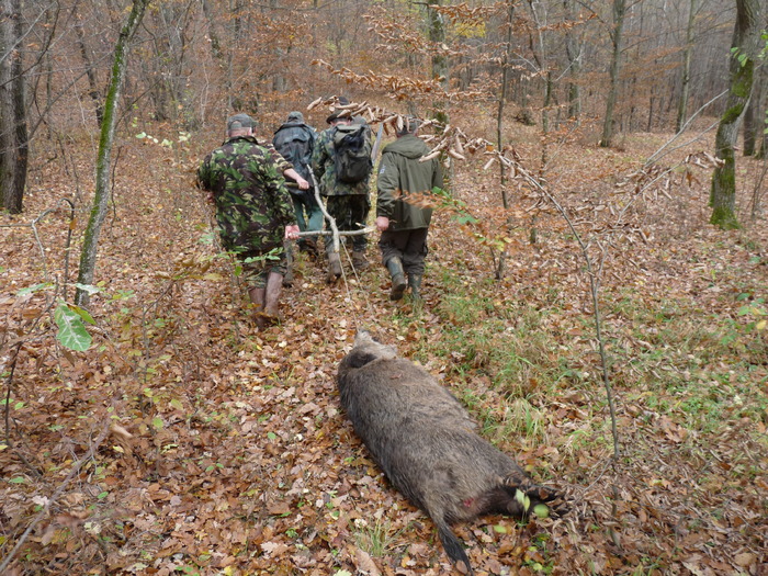P1210712 - 2009-2010 Stolna Cluj