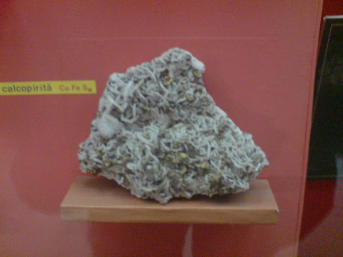 DSC00471 - STEFY BUCURESTI - MUZEUL DE GEOLOGIE