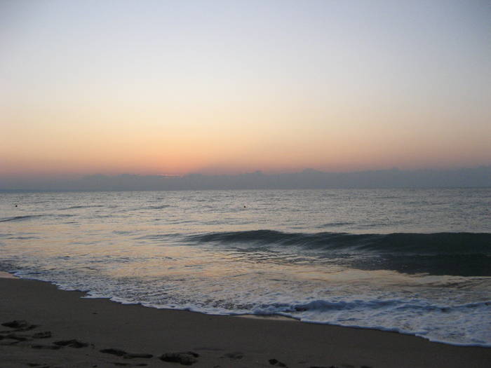 024 - rasarit 09 aug 2009