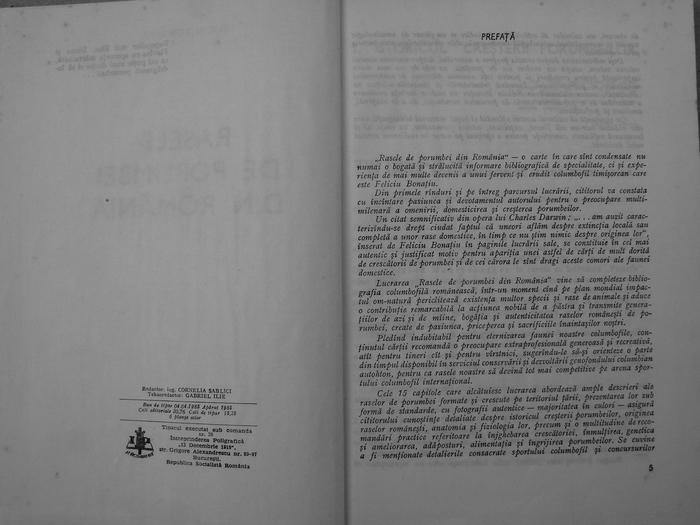 rasele de porumbei din romania -bonatiu 002 - Carti despre Porumbei - - Books about Pigeons