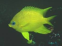 053 - poze muuuuuuuuuuuuuulte