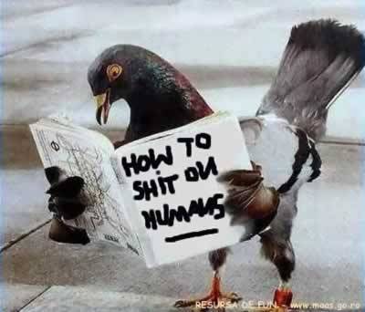 How to shit on Humans - Galerie