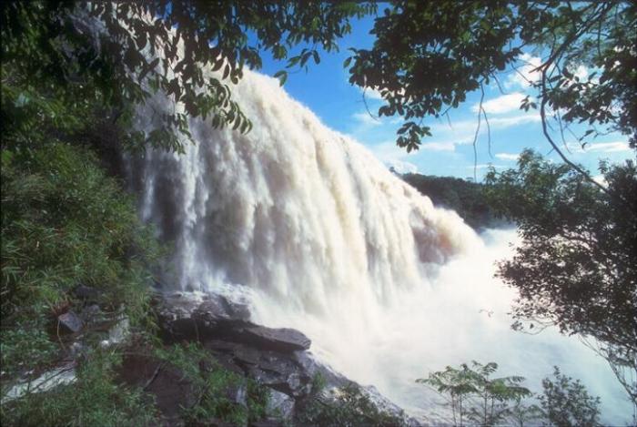 88767675645 - Peisaje