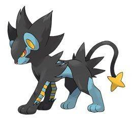 405luxray