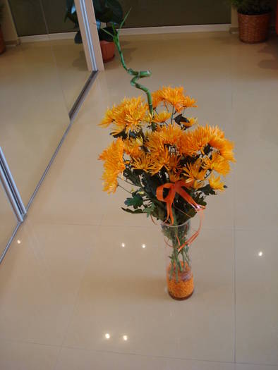,,Ciufulite" - FLORILE MELE