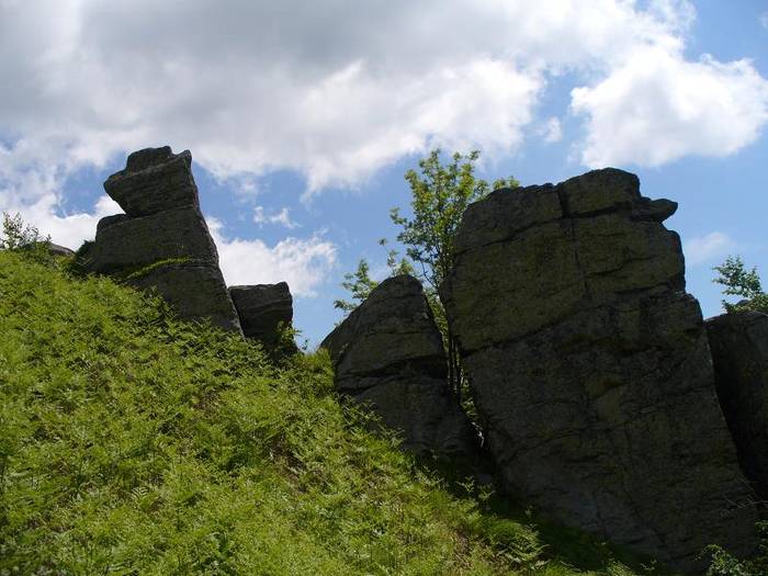 P1000451 - varful Ignis Maramures