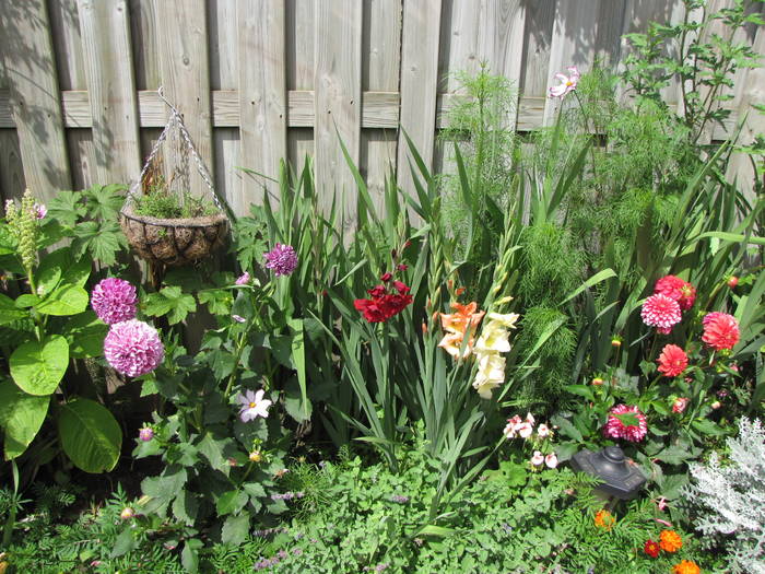 gr.sp.13 iul 2009 (5)