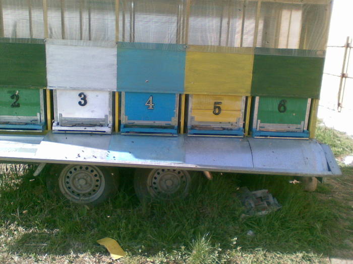 13042009(001) - albine