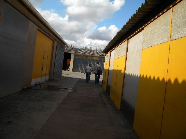 DSCN1877