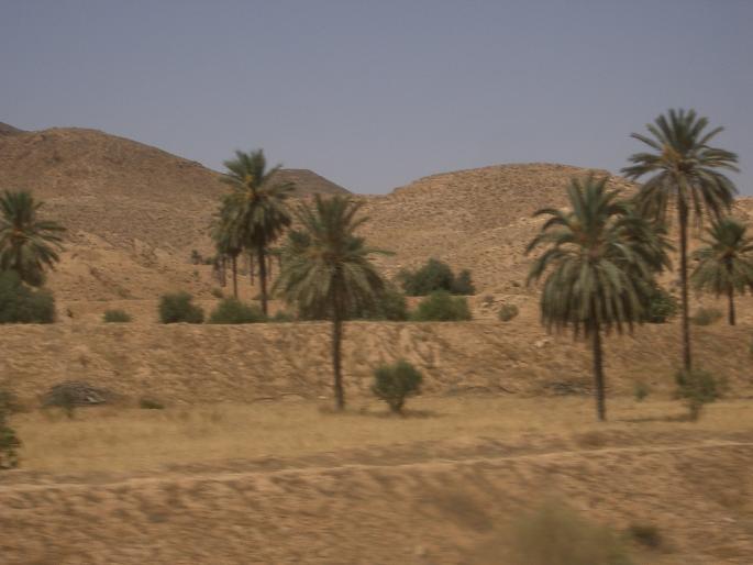 IMGP1649 - TUNISIA 2007