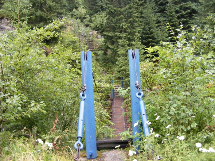 Trecatoare Lacul Galbenu