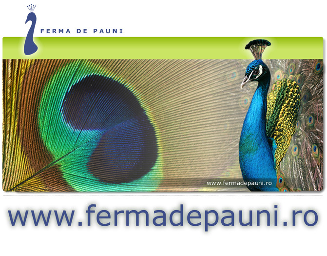 www.fermadepauni.ro