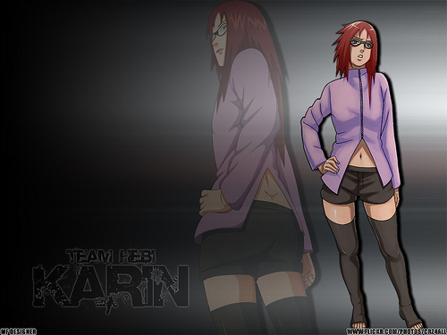 2685090377_b6691de488 - karin