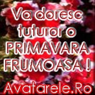 54 - poze avatar primavara