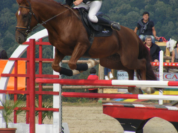 Picture 081 - sept 2009