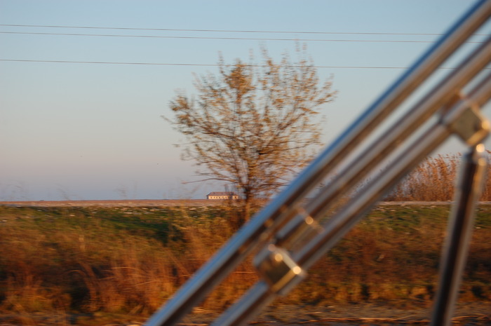 DSC_0063