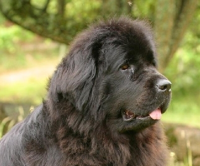 d00ff3c6f0d3099d7ca78a842f475fd2 - CATELUSI