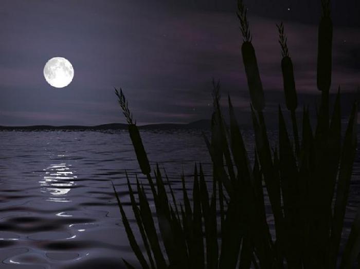 CRZa.8058550-02 - Peisaje