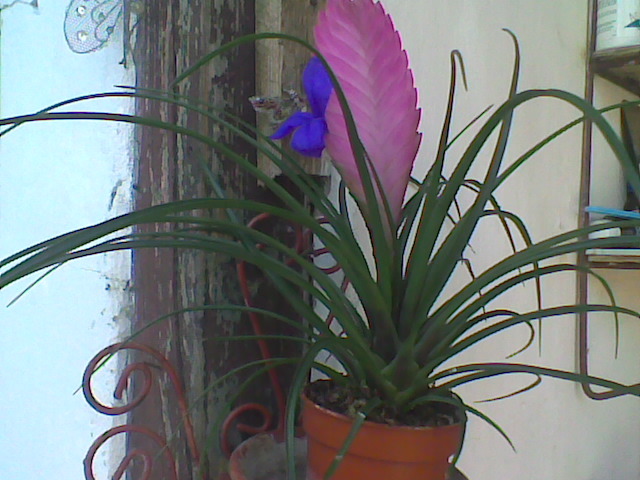 Imag067
