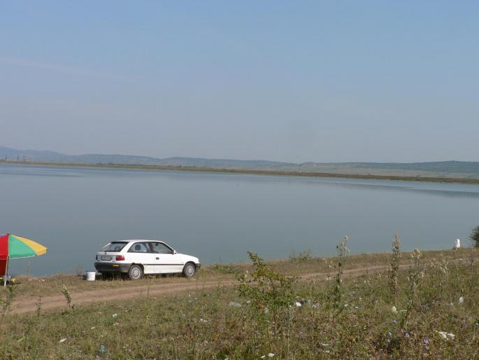 P100078