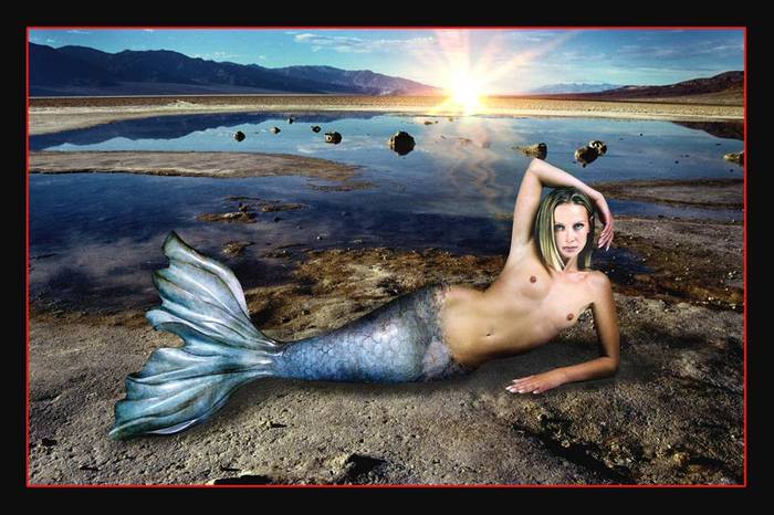 1 - sirene
