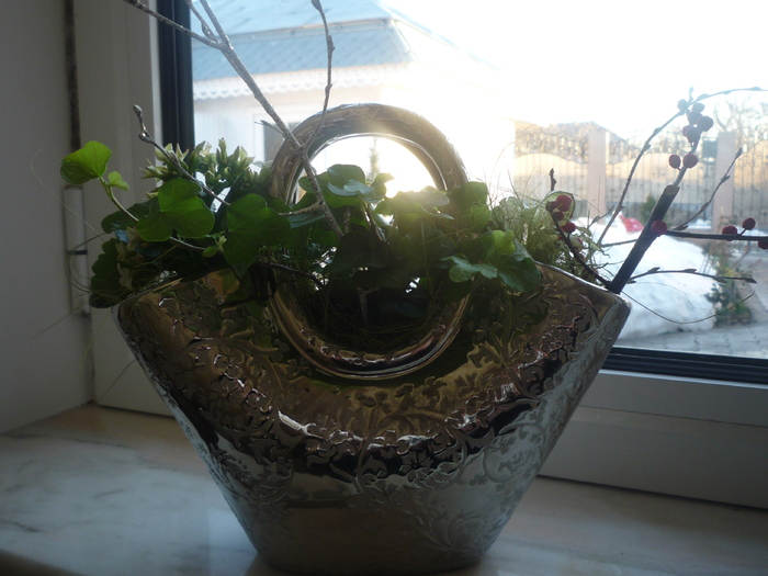 P1020395 - dragele mele flori 2009