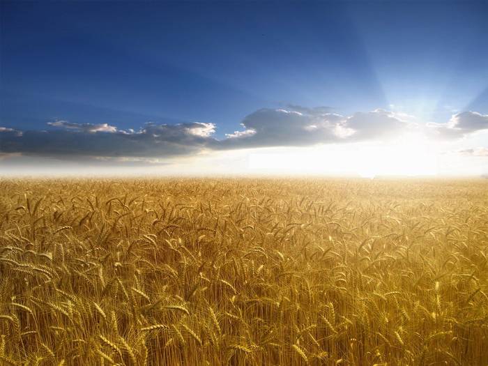 Peisaje de Vara Imagini din Iulie - PEISAJE