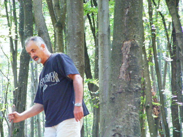 DSCF3629