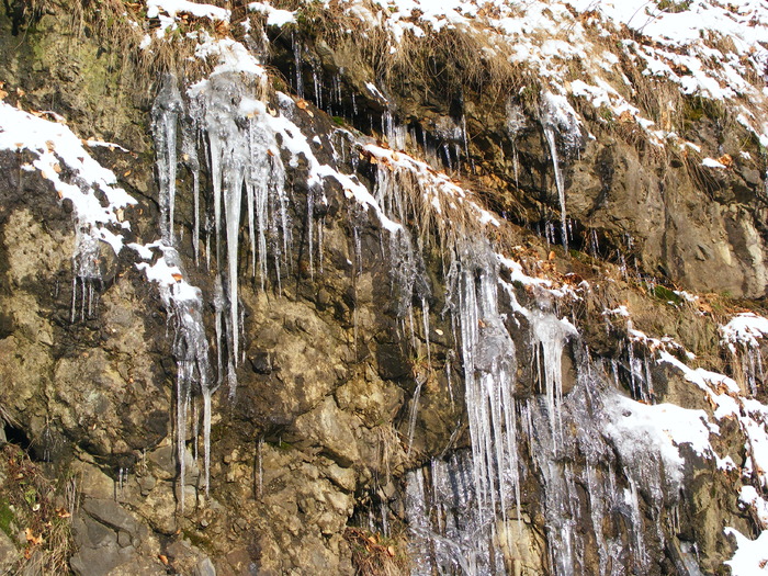 DSCF8505 - Cavnic -Budesti-Breb-Desesti -Mara