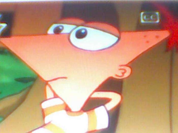 snapshot-164 - Pineas si Ferb