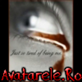 twww.pozeemo.ro__1241348492_287593 - EMO