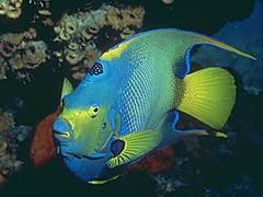 093 - poze muuuuuuuuuuuuuulte