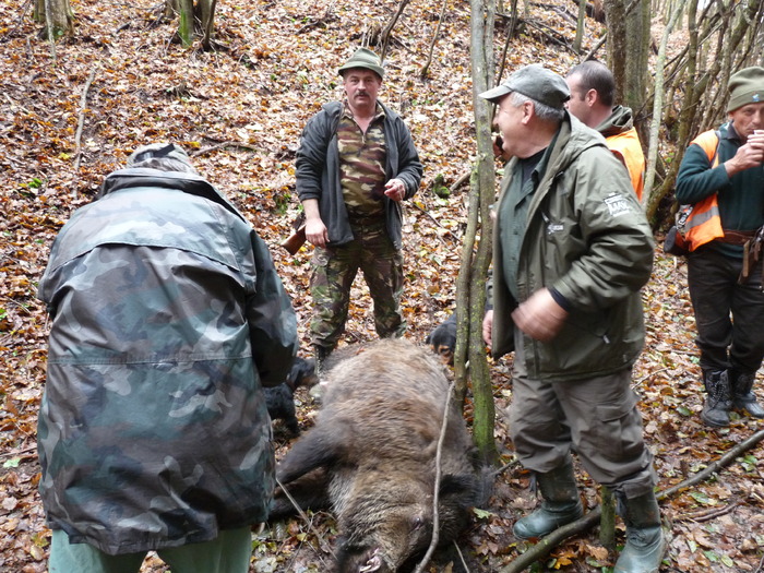 P1210695 - 2009-2010 Stolna Cluj