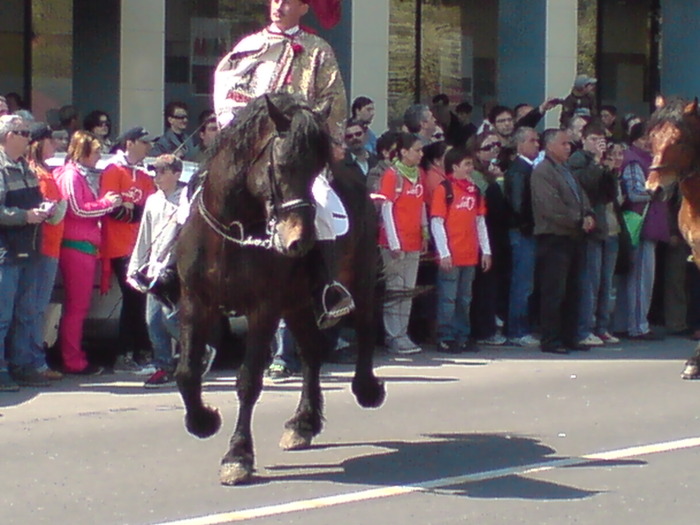 DSC00819 - JUNII SI GRATAR RACADAU 26-04-2009