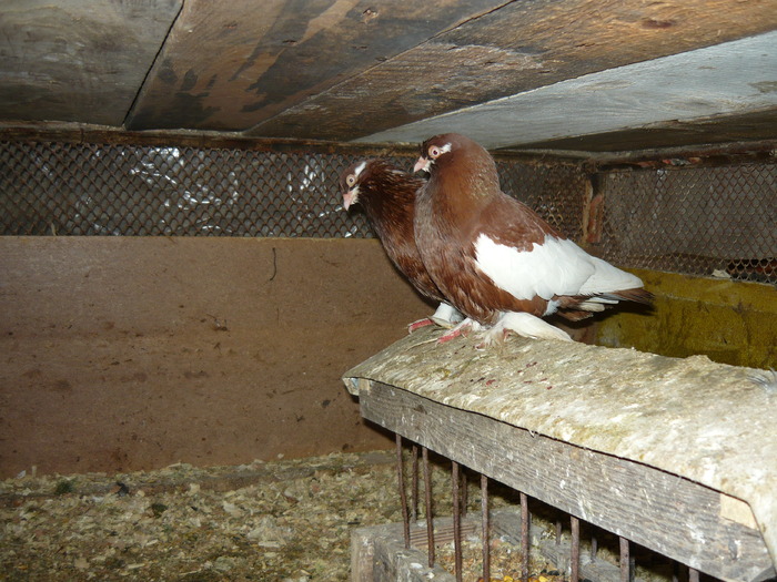 P1000743