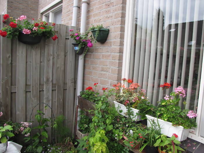 gr.sp. 12 iul 2009 (4)