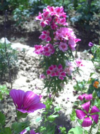PICT0068