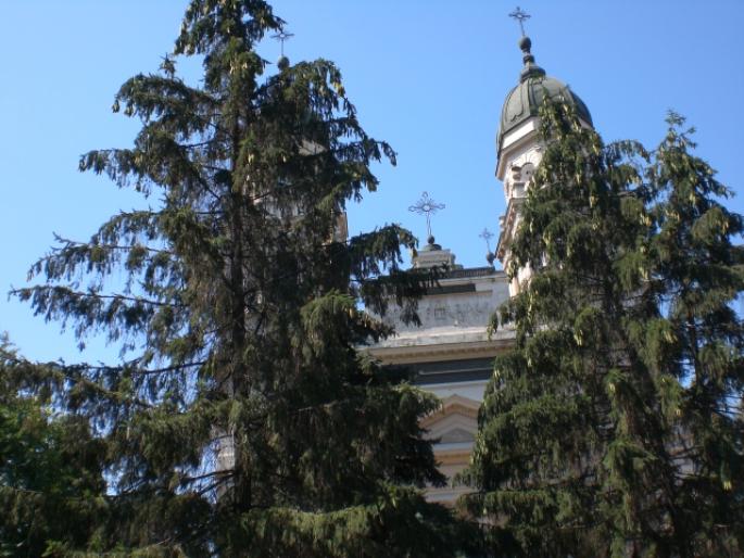 IASI 339